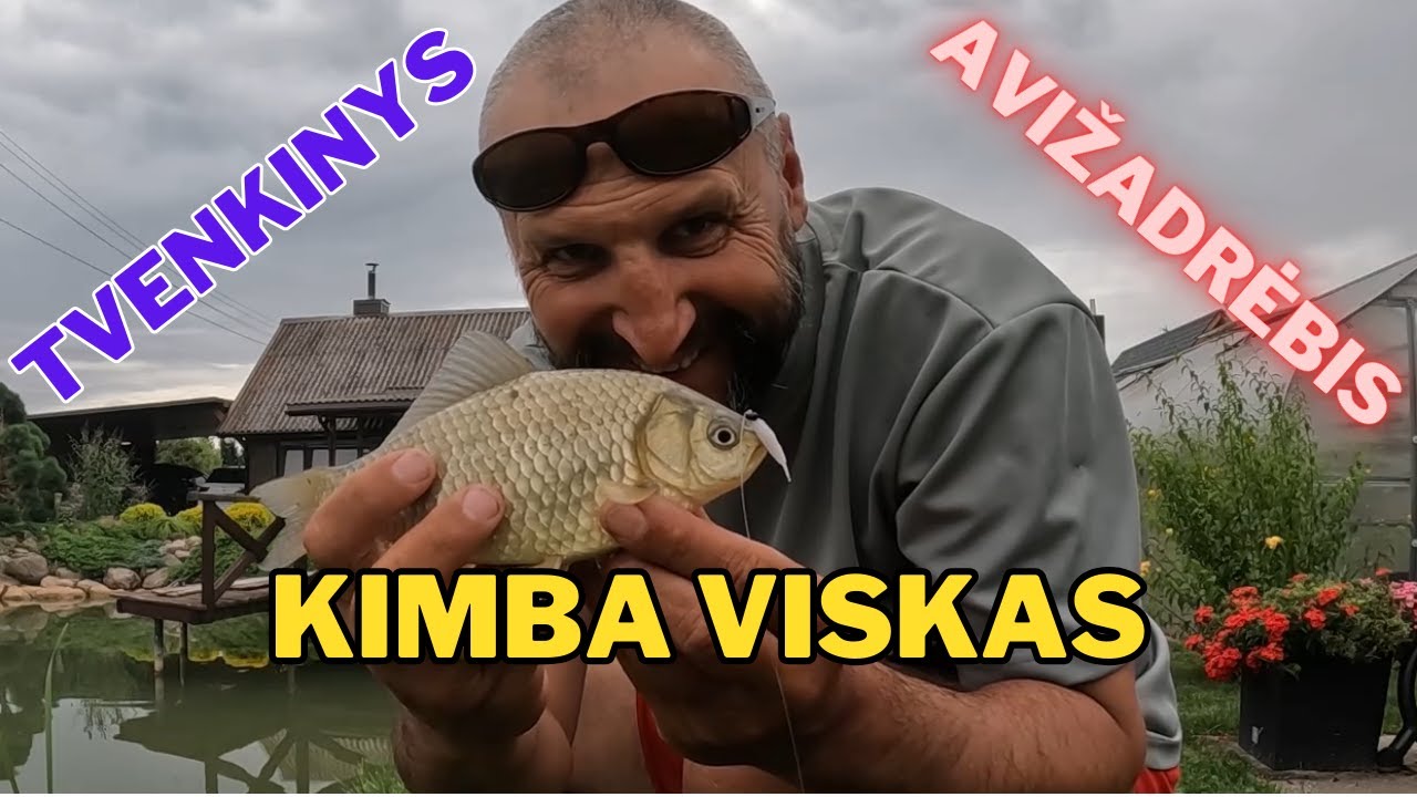 Tvenkinys | Avižadrėbis | Kimba viskas