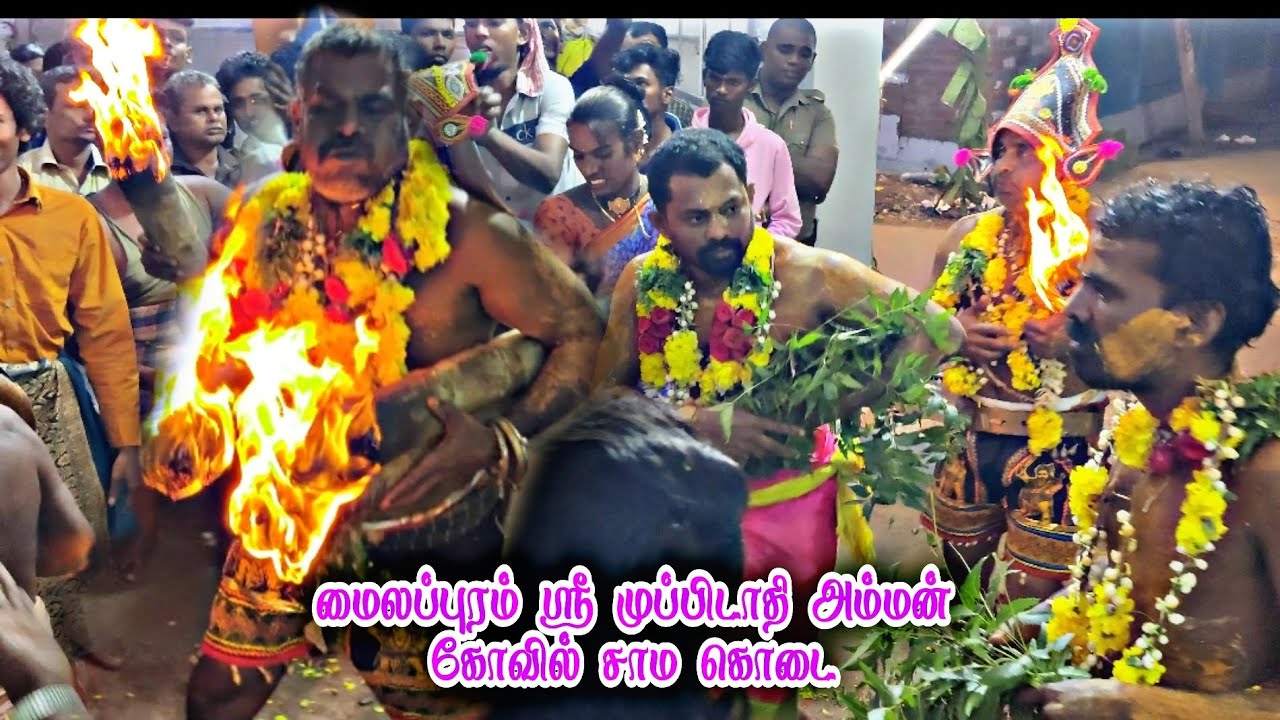🔴அட்டகாசமான ஆட்டம் சுடலை மாடன் சாம கொடை