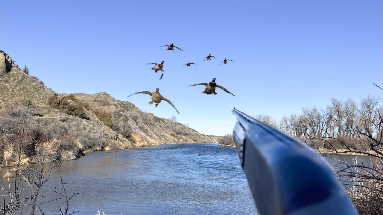 SOLO Duck Hunting a Skinny Mountain River!