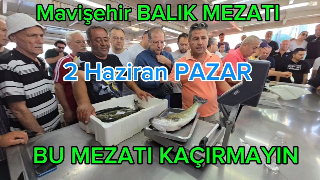PAZAR MEZATI KAÇAR MI? HARİKA BALIKLAR BOL KAHKAHA.
