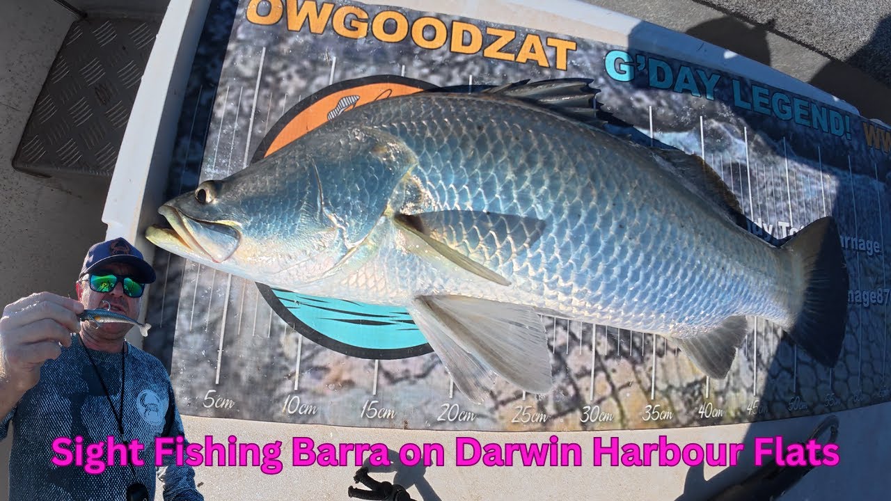 Fishing Darwin Harbour for Barramundi on the flats. #barramundi #fishing #darwinharbour
