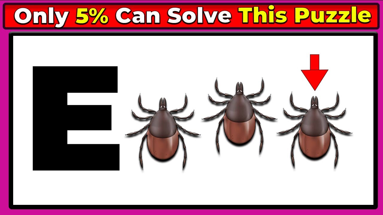 20 Tricky Brain Teasers That Will Boost Your Thinking || Rebus Puzzles Challenge 33