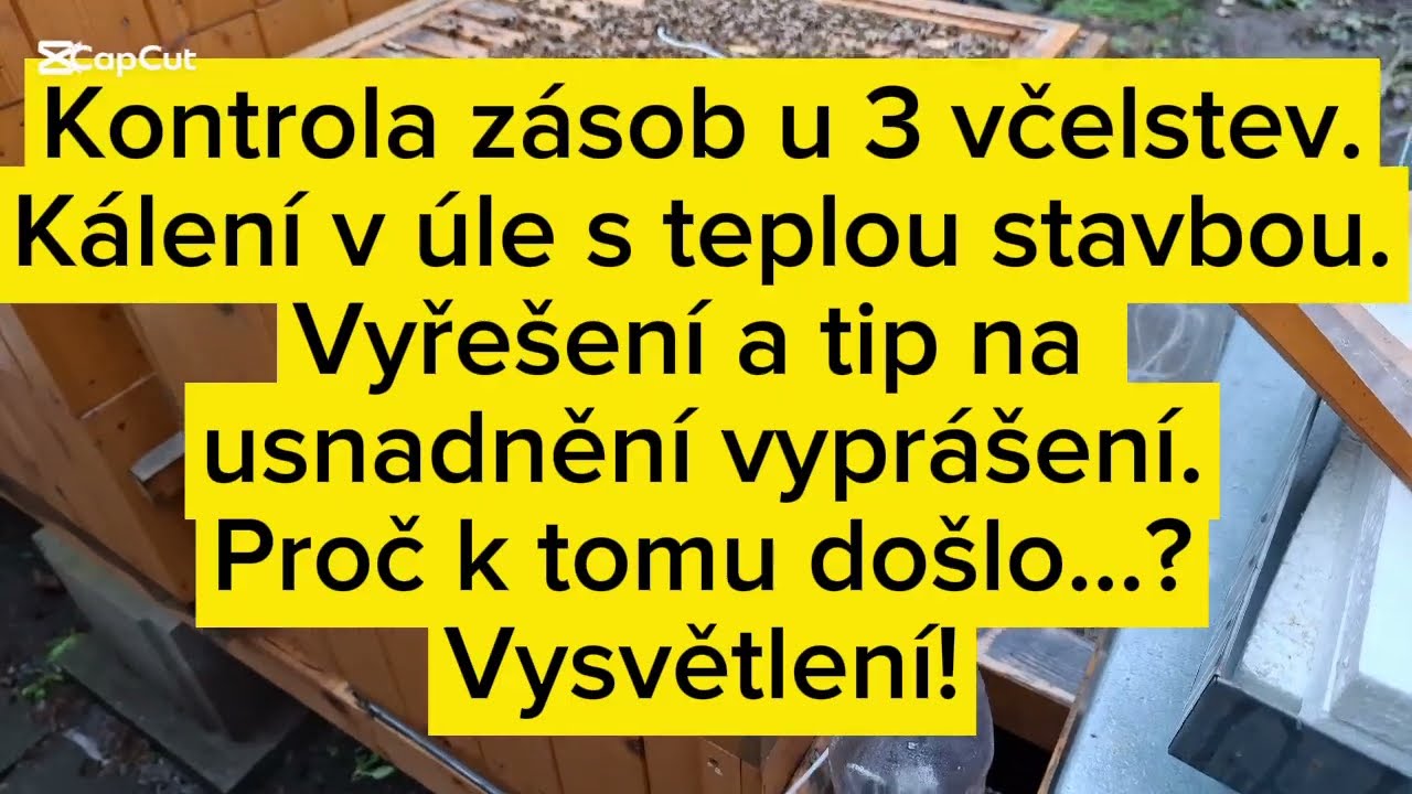 Včely 6.2.26 Praha - kontrola zásob, kálení v úle, řešení