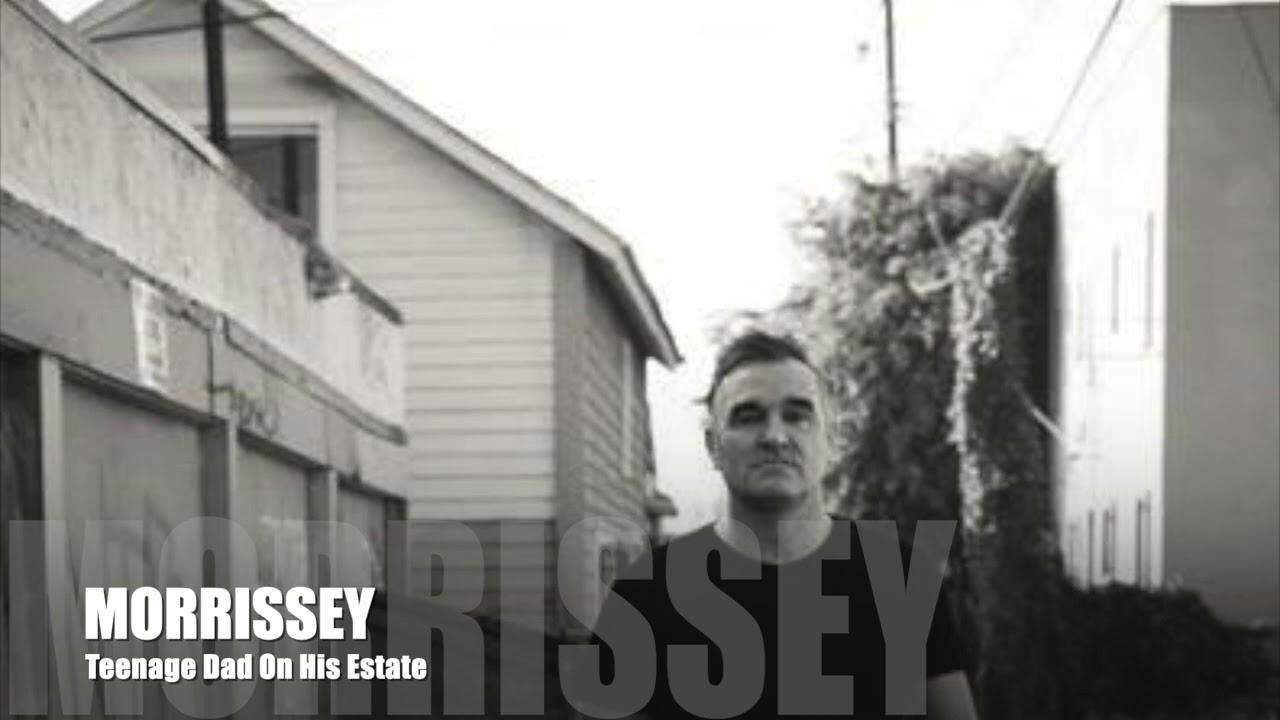💎 Morrissey - Teenage Dad on his Estate (Swords Album)