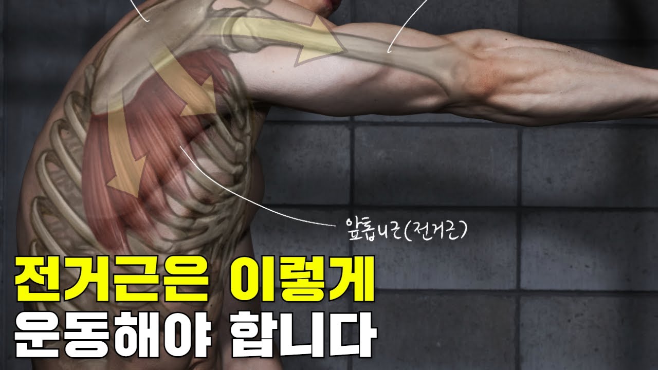 어깨충돌증후군이 있다면 전거근운동은 이런식으로 해주셔야 합니다! 견갑골운동 제대로 하기