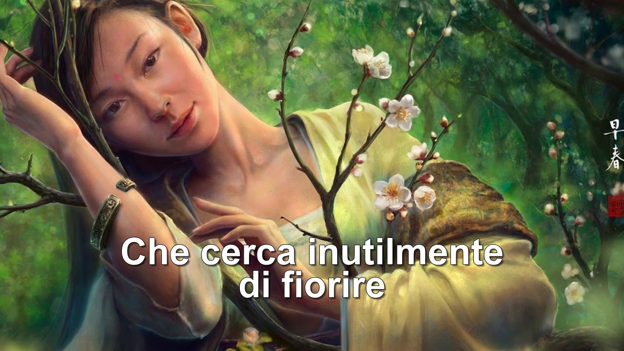 Uno sguardo verso il cielo (Le Orme)