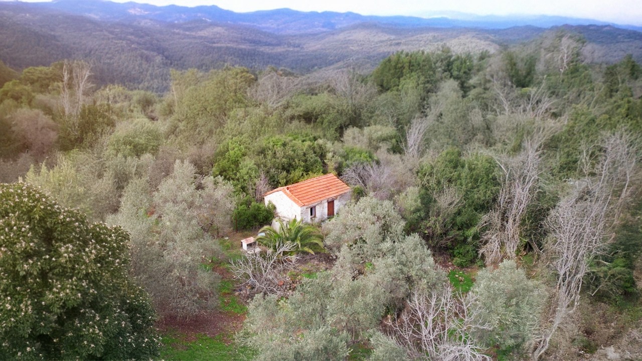 Start cleaning the hut, building stairs from natural stones and cooking moussaka