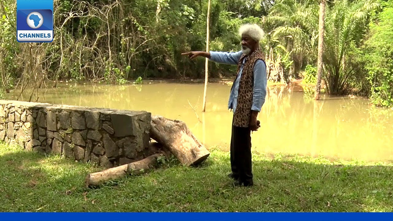 Wole Soyinka Lament Effect Of Erosion On Community