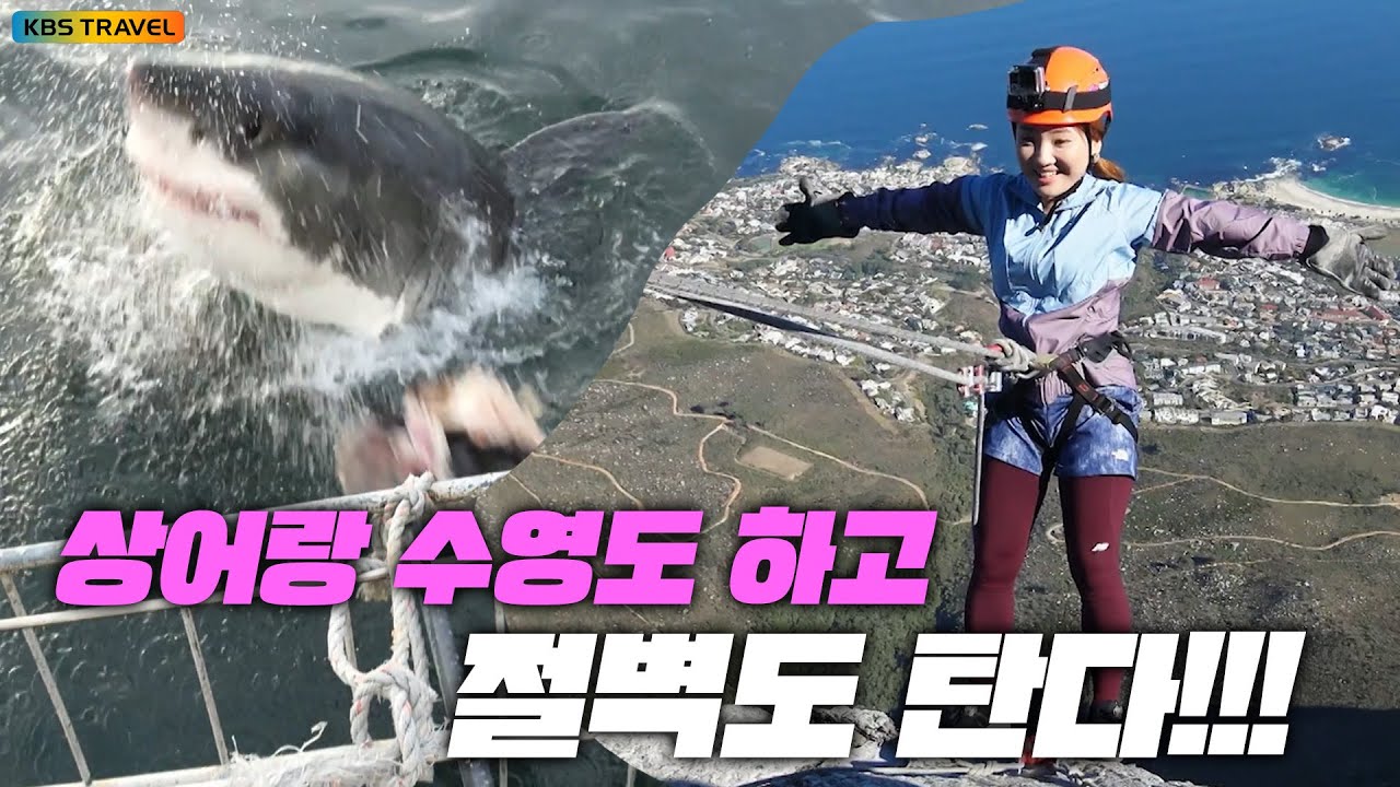 [걸세다큐]심장 쫄깃한 하루~백상아리 + 레펠 풀코스 체험기