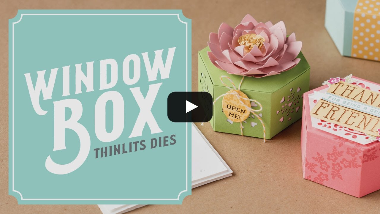 Window Shopping Stamp Set & Window Box Thinlits