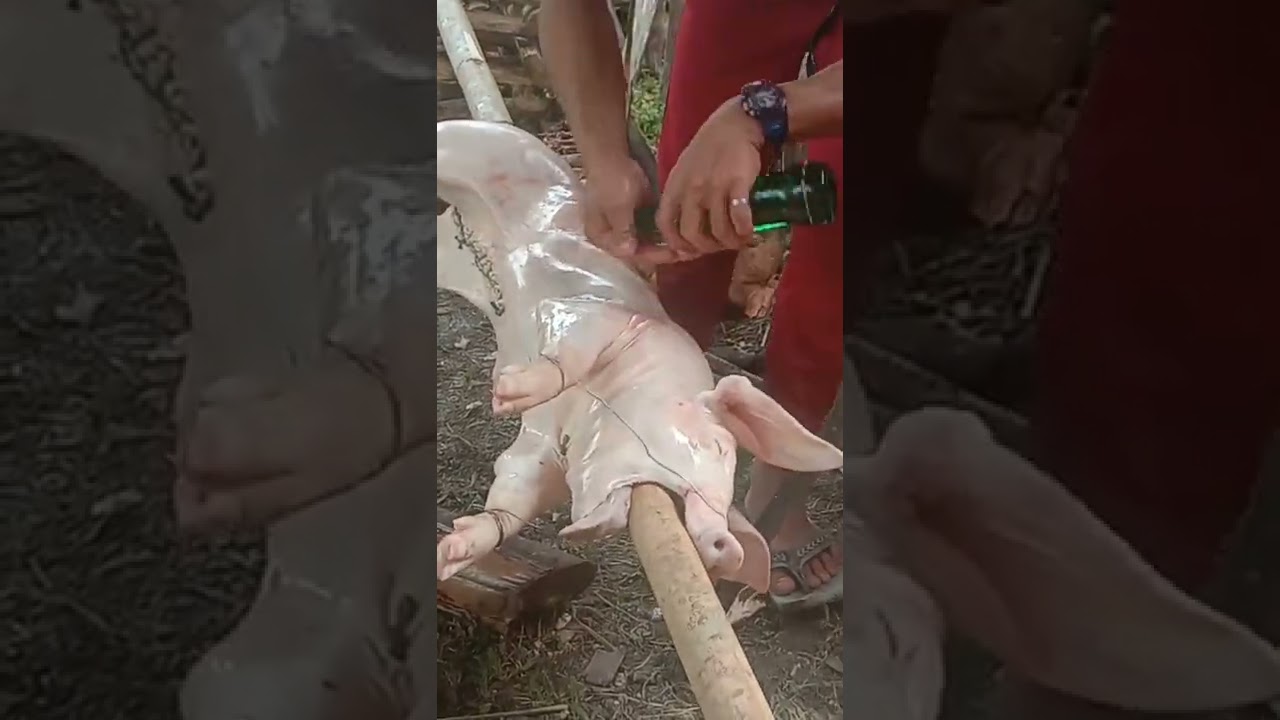 Another Technique For Cooking|LECHON BABOY#delicious #cooking #yummy #LechonBaboy