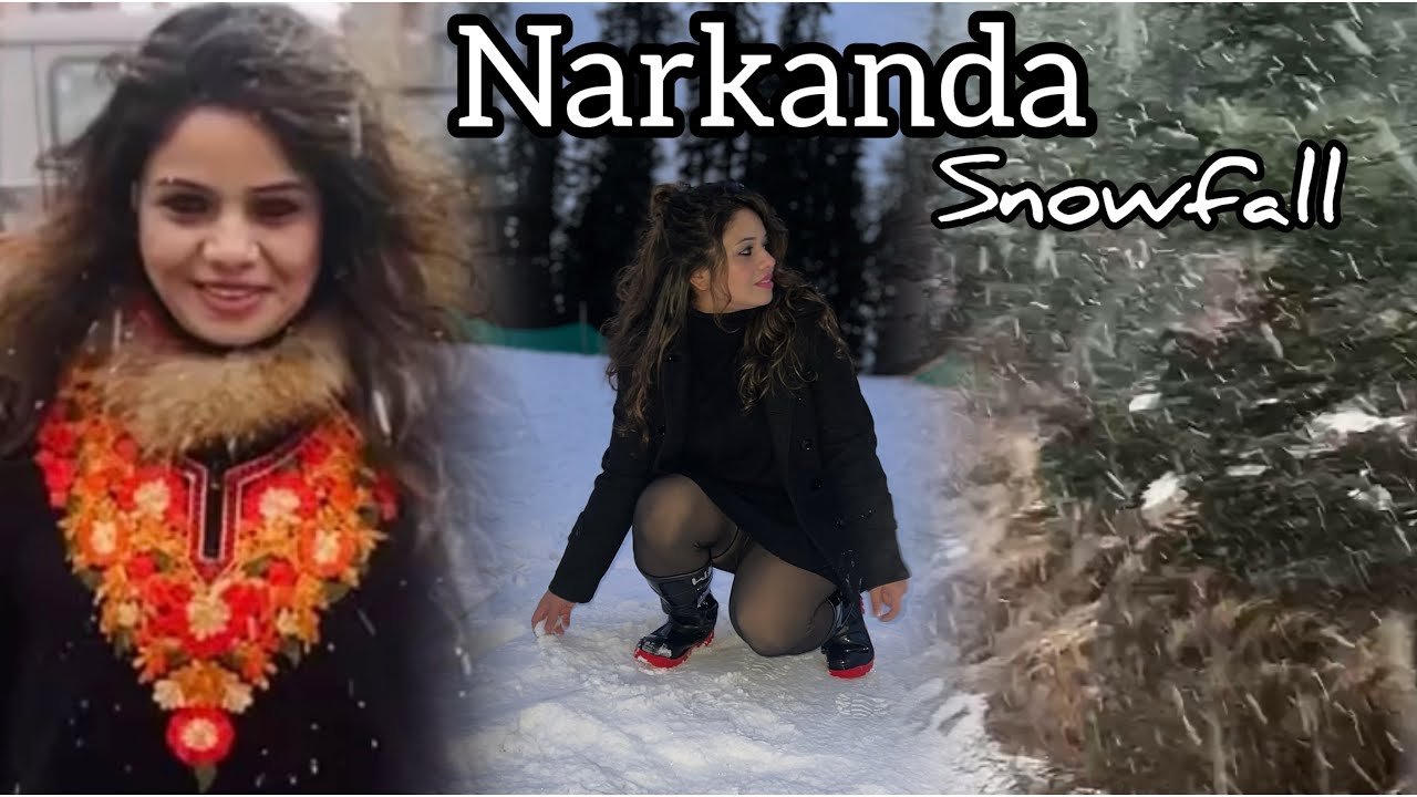 Found too much snowfall in Narkanda shimla🌨️❄️❤️ snowfall #divyasharma #narkanda #shimla (part-3)
