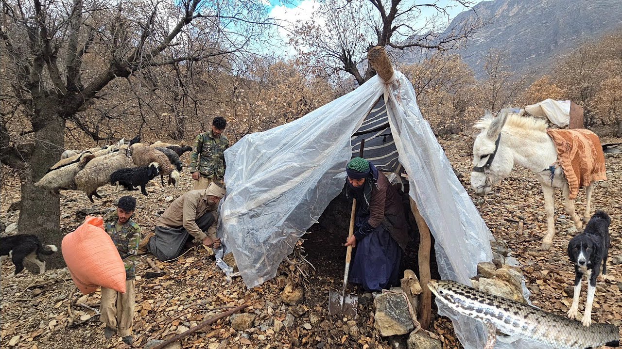 Nomadic Life: Living in the Wild: The Art of Nomads in Building a Safe Haven