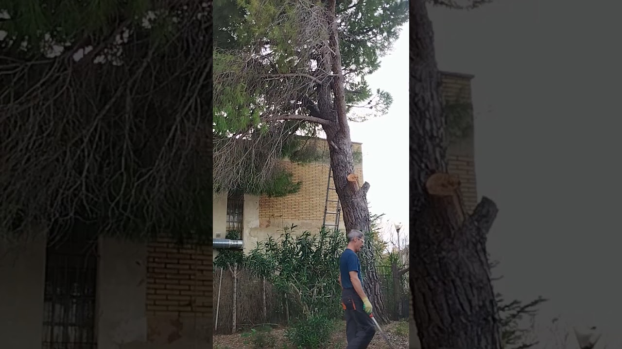 VID 20260210 164931