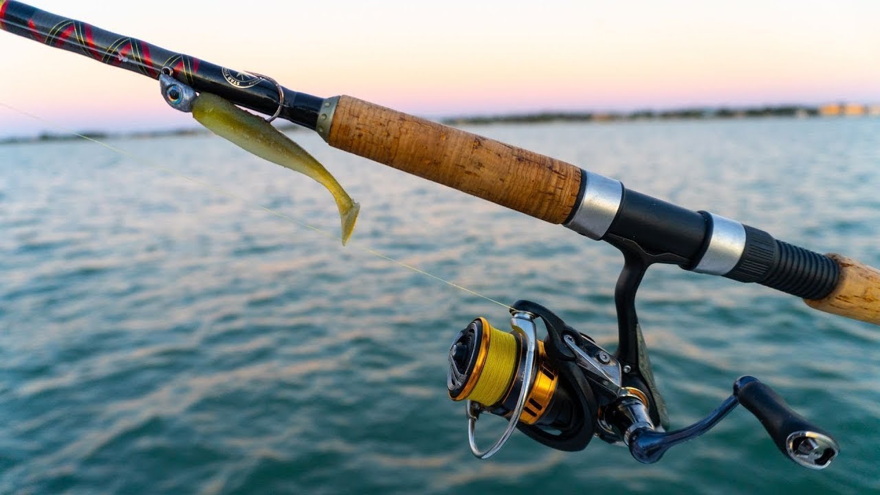 Fishing With Best Winter Time Lure? (Fishing Tampa Bay Area)