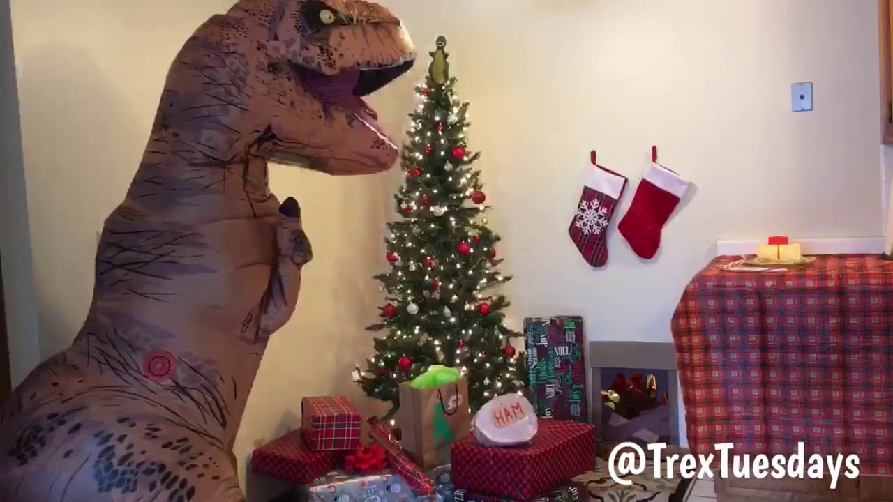 Underneath the Rex-Mas Tree
