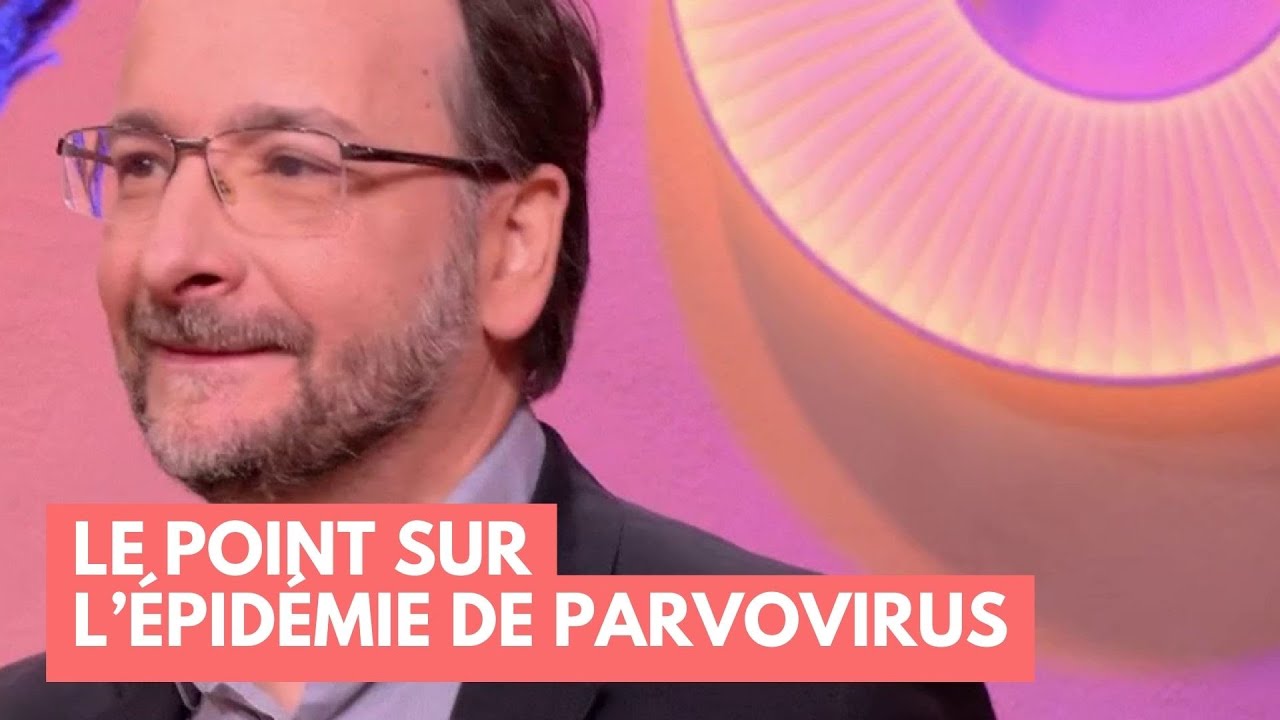 Le point sur l’épidémie de Parvovirus - La Maison des maternelles #LMDM