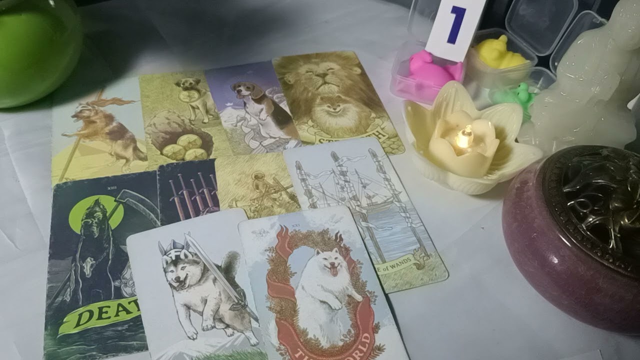 Tarrot:🍀🍀Họ và người thứ 3 đang ra sao?Họ có quay trở lại không?