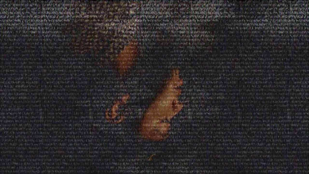 Krews - Ain't Gold (Official Video)