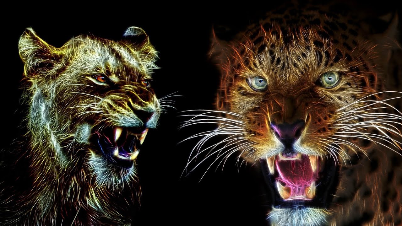 ALL Types Of WILD CATS in North AMERICA 🐱