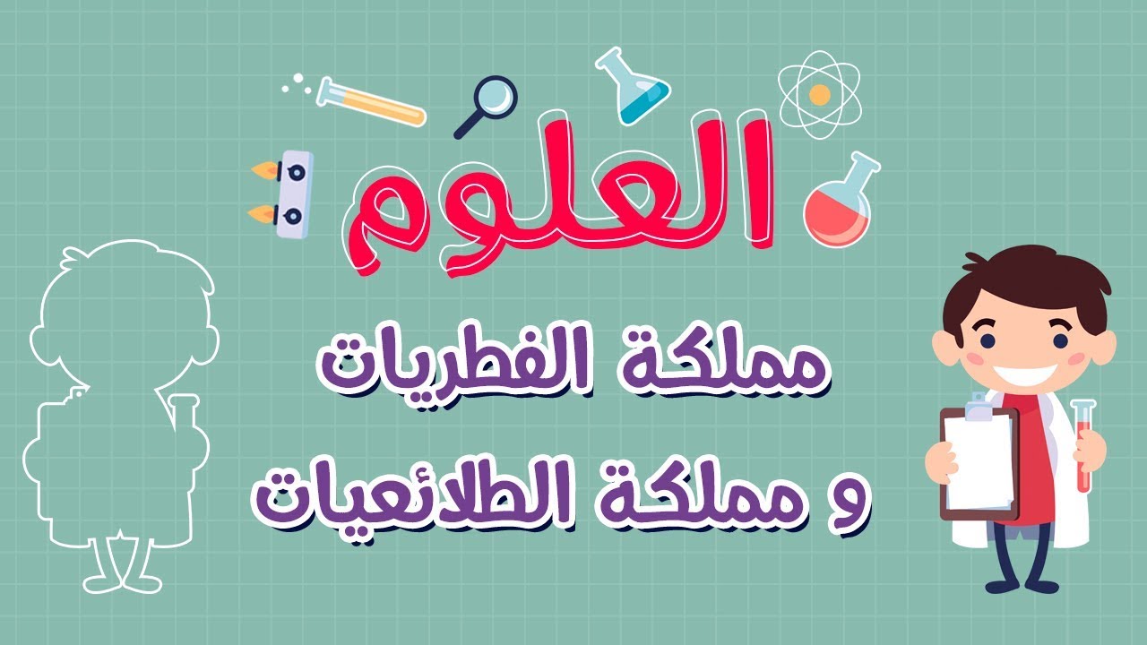 العلوم | مملكة الفطريات و مملكة الطلائعيات
