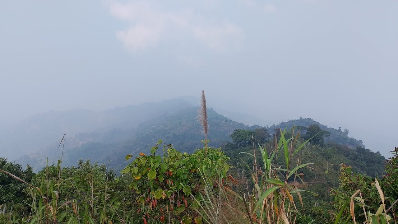 নীলগিরিতে ভাগ্য ভালো না হলে মেঘ দেখা যায় না।