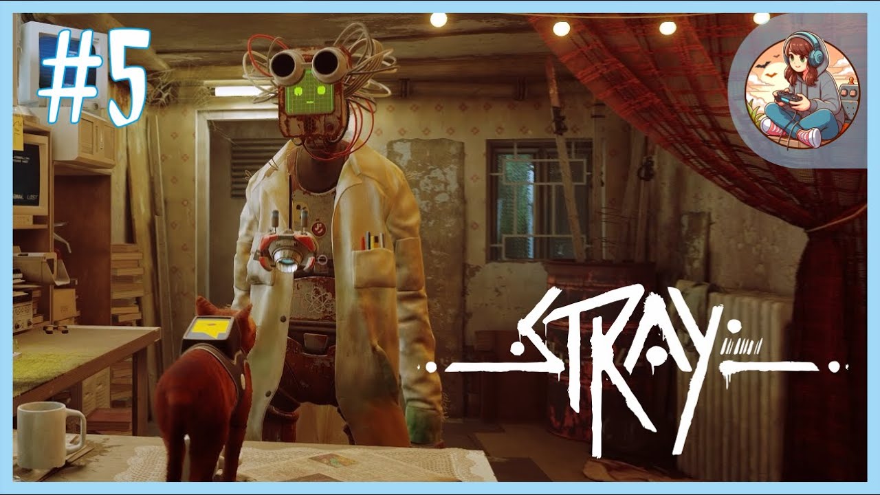 Co słychać doktorku? - 5 - Stray
