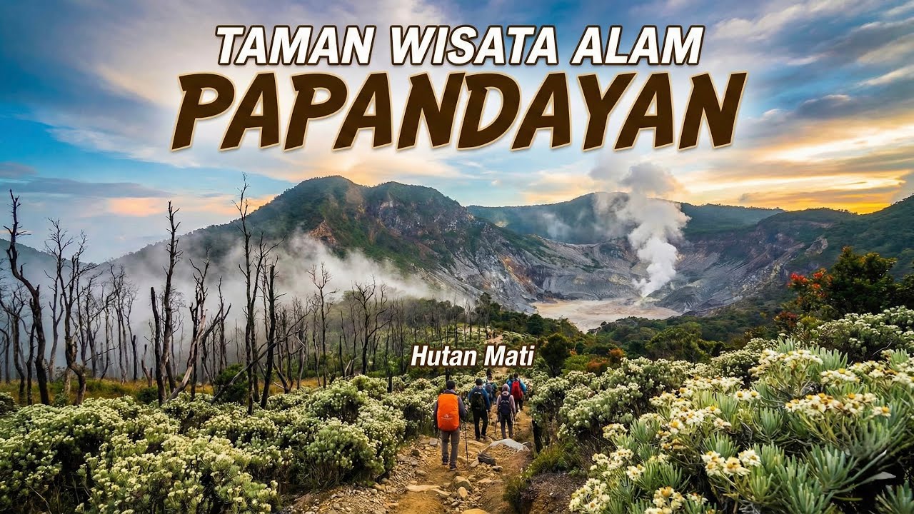 TAMAN WISATA ALAM PAPANDAYAN