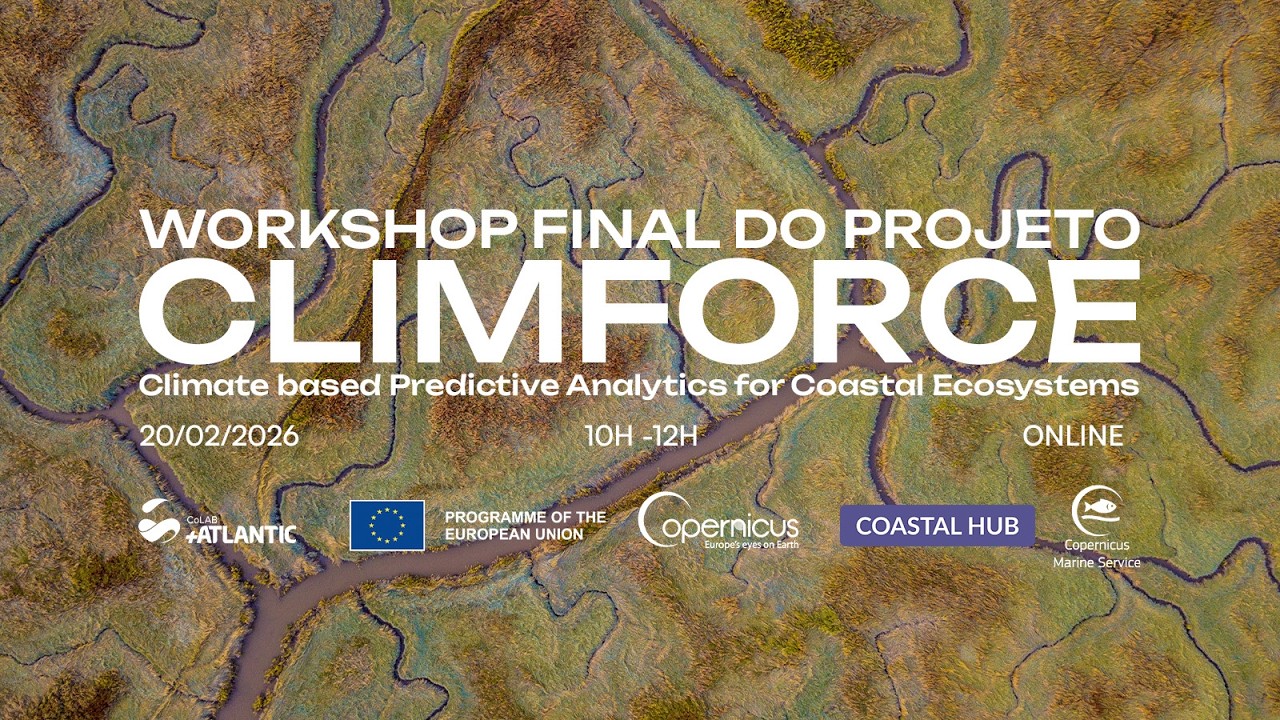 ClimForCE Workshop Final