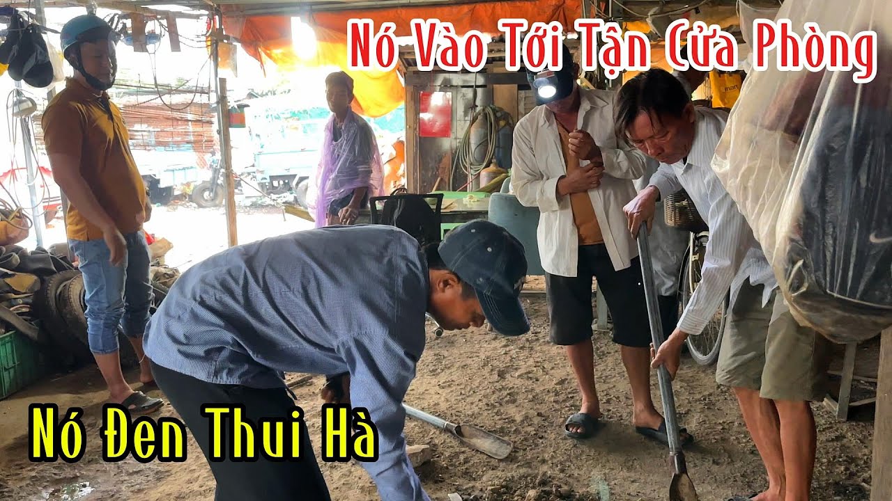TPHCM-Tây Ninh-2 Địa Điểm Cuộc Truy Tìm 1 Bầy Rắn Hổ Chúa Ăn Mất Hàng Loạt Con Gà Và Cái Kết | MTSB