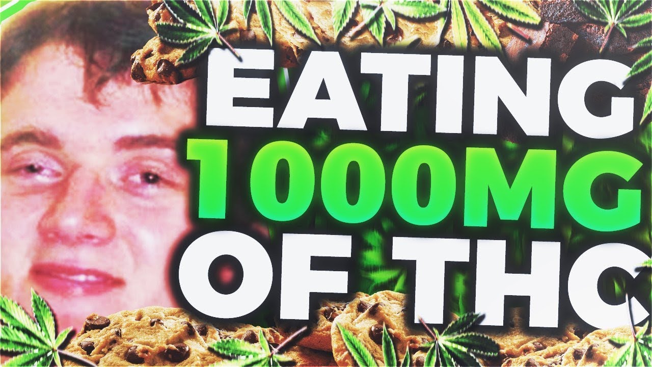 Eating 1,000mg of THC