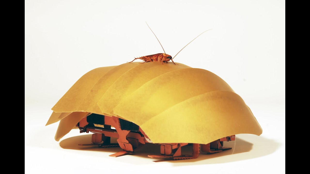 Cockroach robots to the rescue!