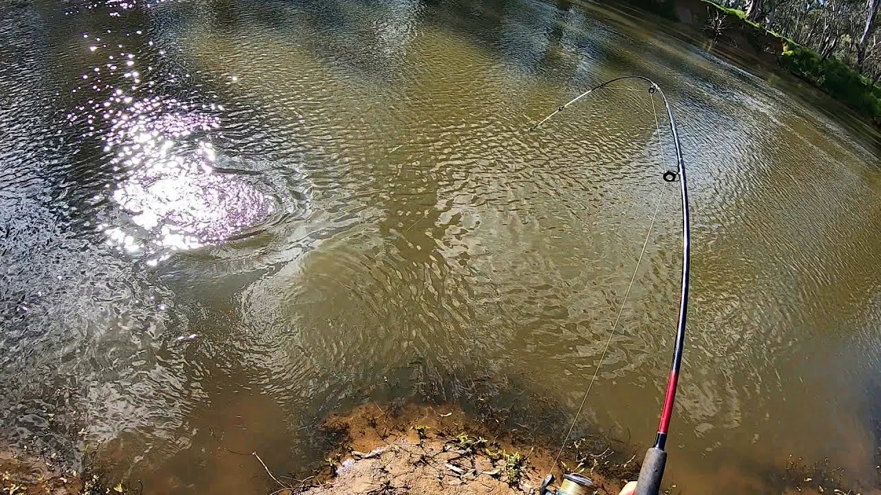 Absolute carpfest insane big carp fishing including my biggest carp