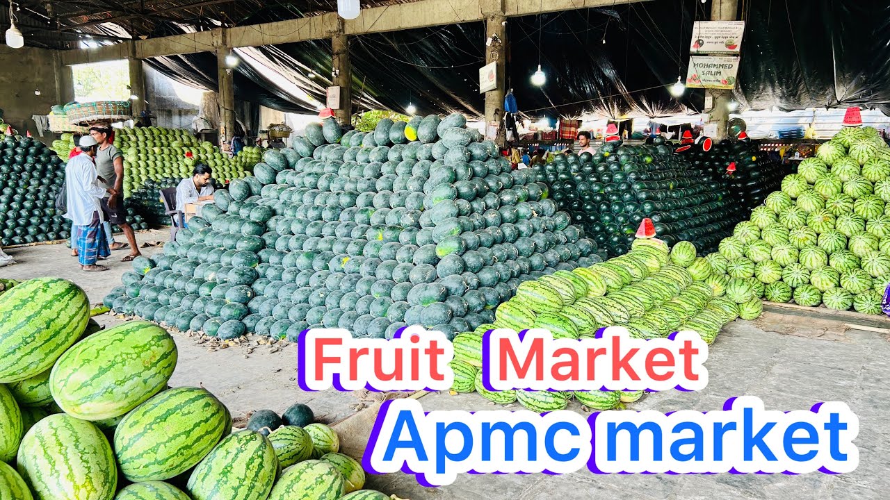 वाशी Apmc Market कलिंगड फक्त 20/- किलो ने मिळेल | Wholesale Fruit Market in mumbai 