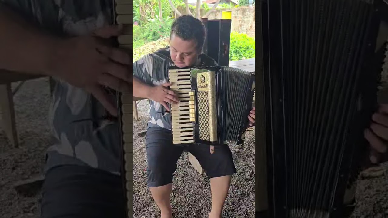 ACORDEON À VENDA, SCANDALLI SÉRIE OURO 120 BAIXOS (acompanha a capa da gaita) 🪗🪗🪗🛒💸
