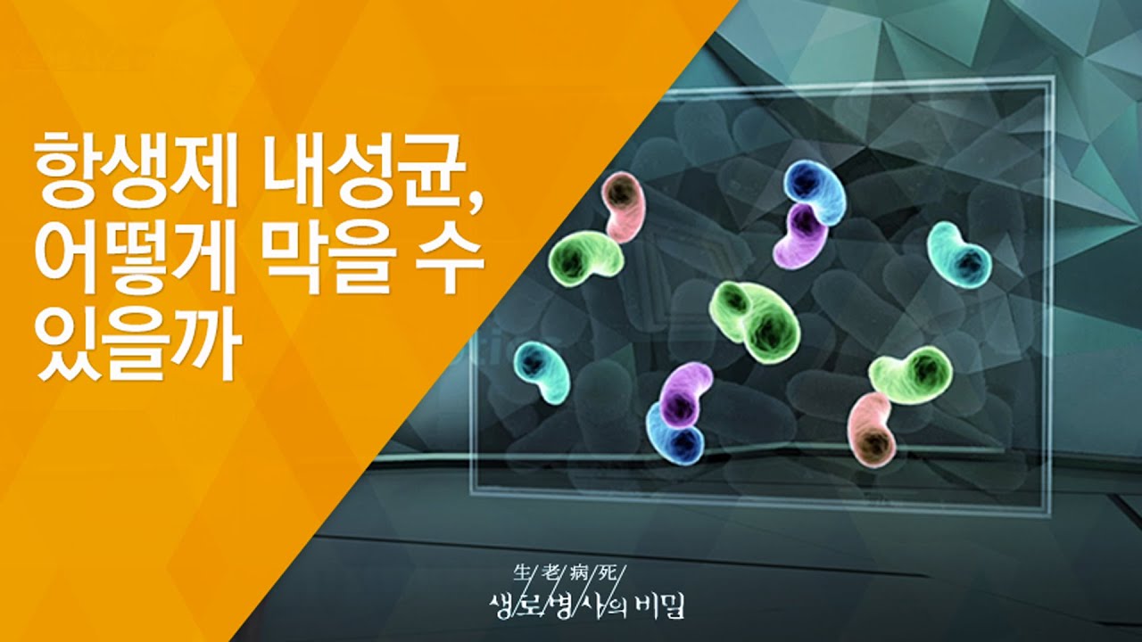 항생제 내성균, 어떻게 막을 수 있을까 - (20130619_461회 방송)_세균과의 전쟁! 항생제 내성의 공포