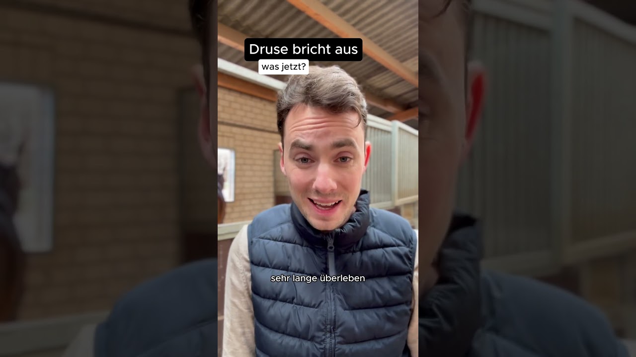 Was, wenn Druse ausbricht? #vetcheck #pferd #druse #infektion #virus