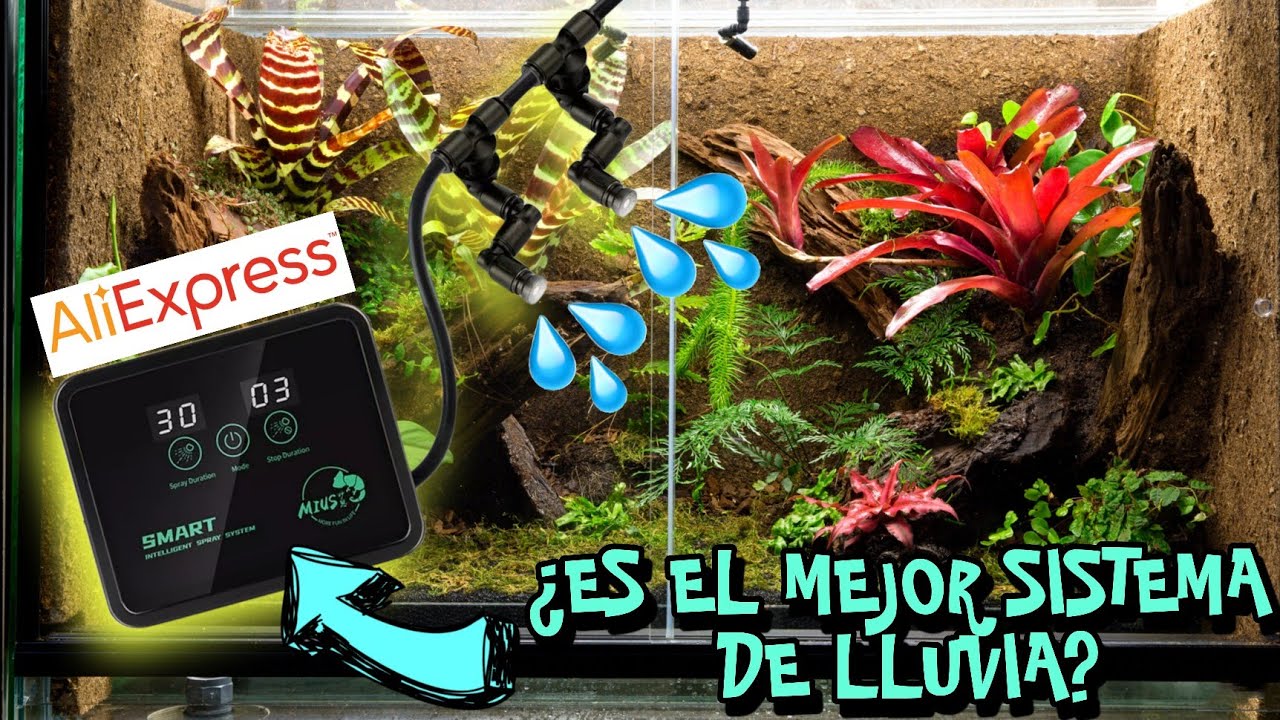El Sistema de lluvia mas económico para terrario, Paludario, Vivario y automático | AQUA RC |
