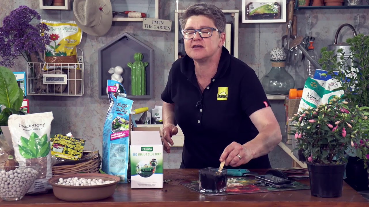 Spring! What to do in the garden! LIVE with Tanya Visser