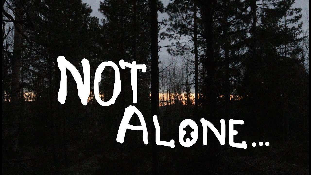 NOT Alone In The Dark Woods