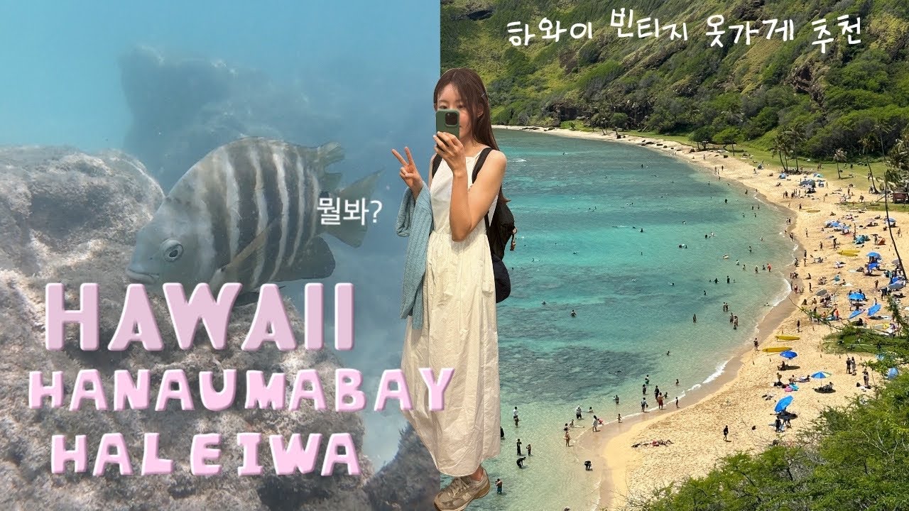 🇺🇸하와이여행 빈티지샵😎🌺|하나우마베이🏝️|무지개빙수🍧|할레이바마을|거북이해변 하와이기념품 하와이쇼핑 하와이소품샵 와이키키해변 하와이브이로그