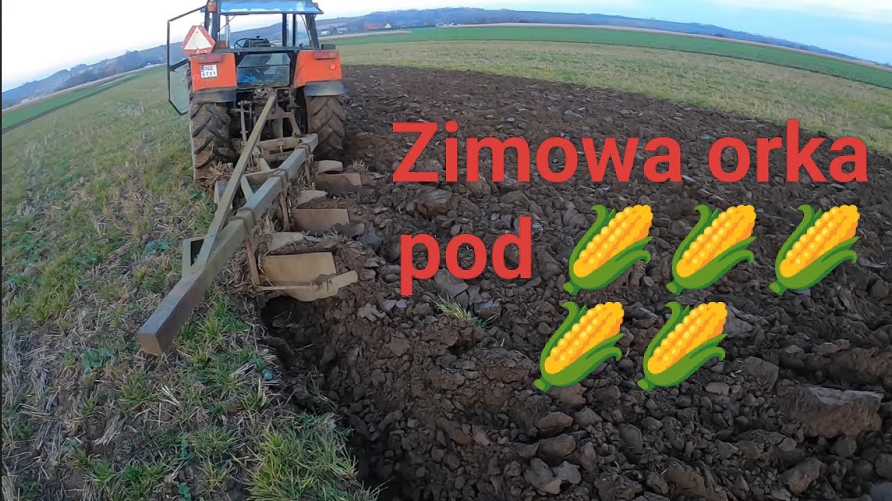 Zimowa Orka Pod Kukurydzę 