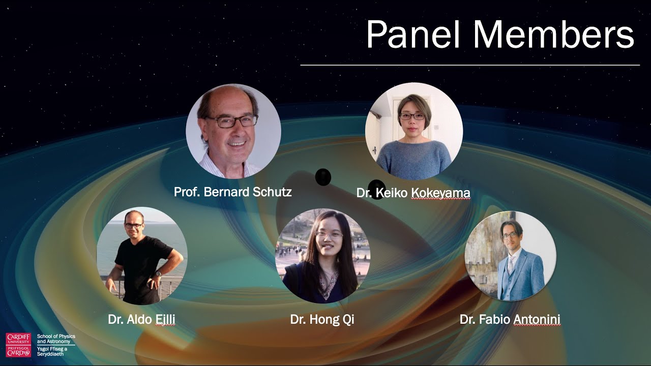 Gravitational Waves -  Meet the Experts