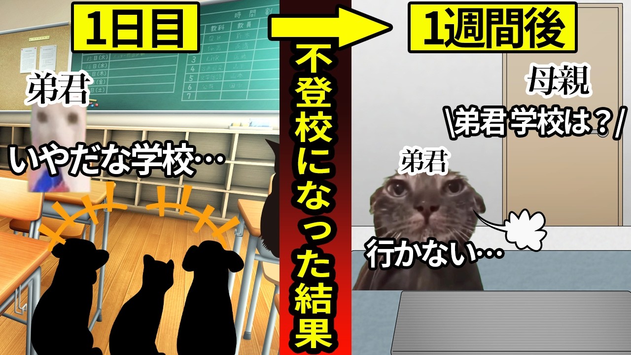 【悲劇】もしも不登校になったらこうなります… 猫ミーム 猫マニ