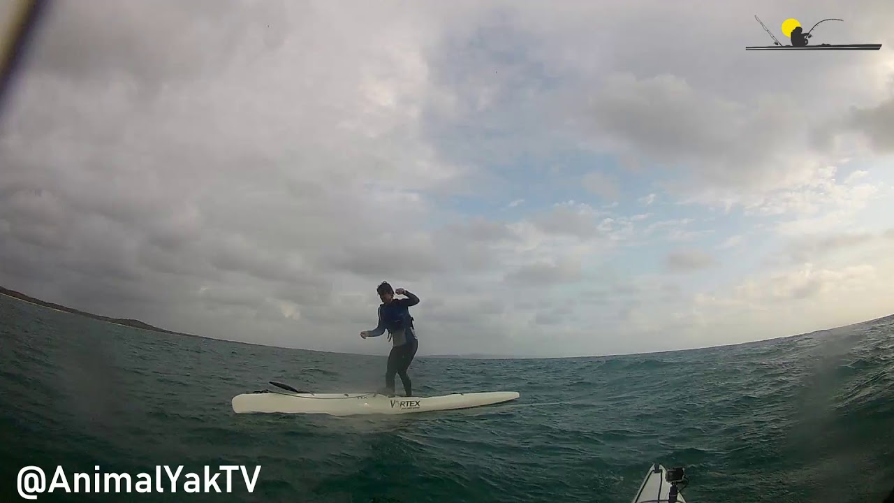 Testing Vortex Stability by Standing Up at Sea