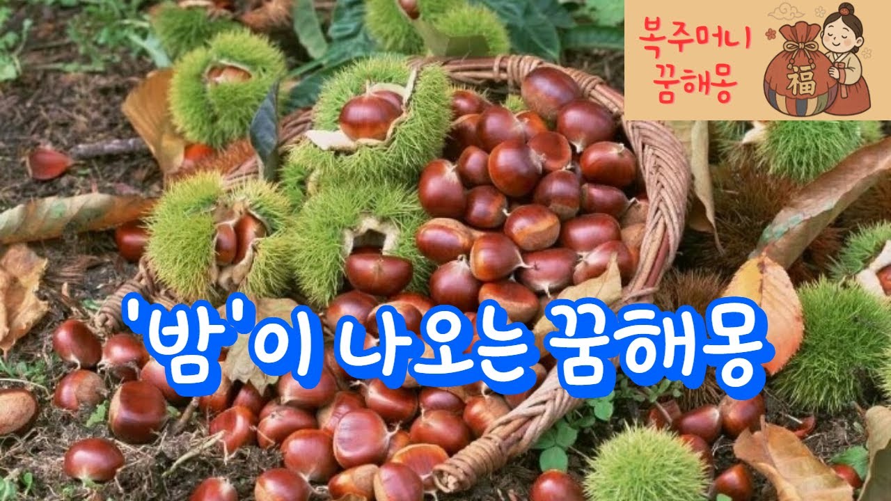 '밤'이 나오는 꿈해몽 #과일꿈 #밤꿈 #열매꿈