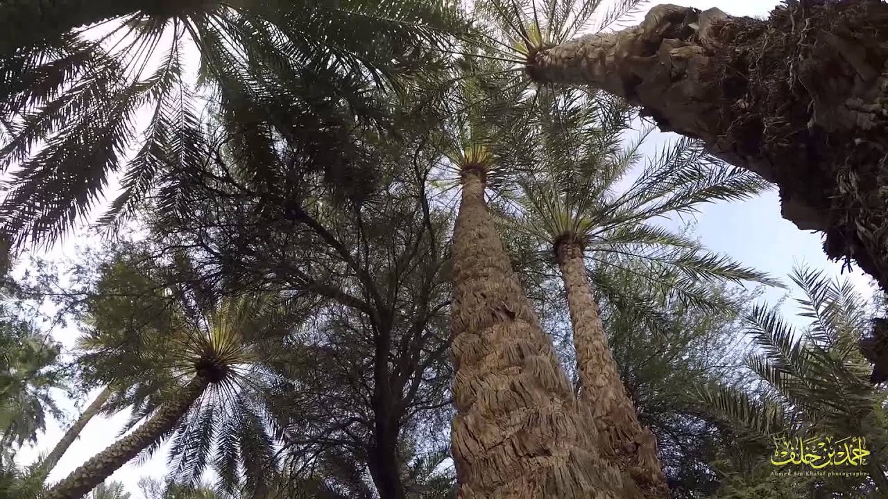 قرية حتا التراثية