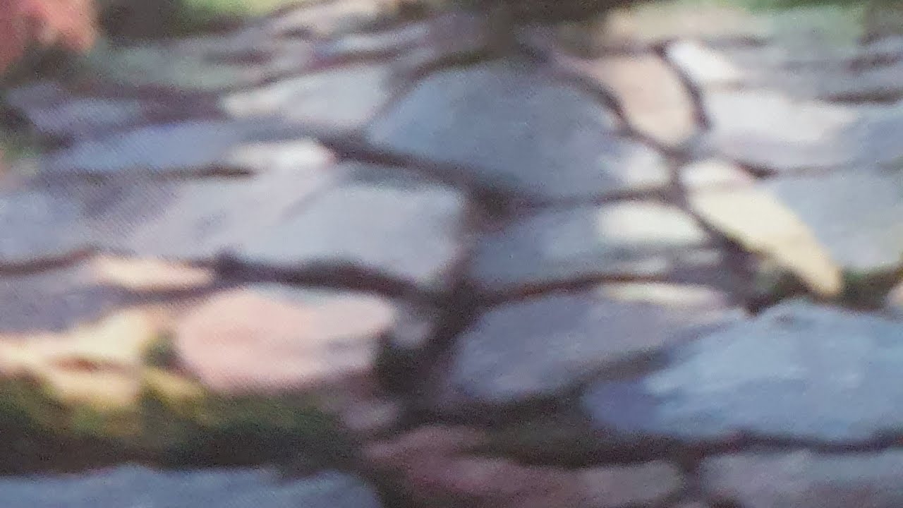 Ne pas se sentir emmuré, ne pas se sentir seul🎴