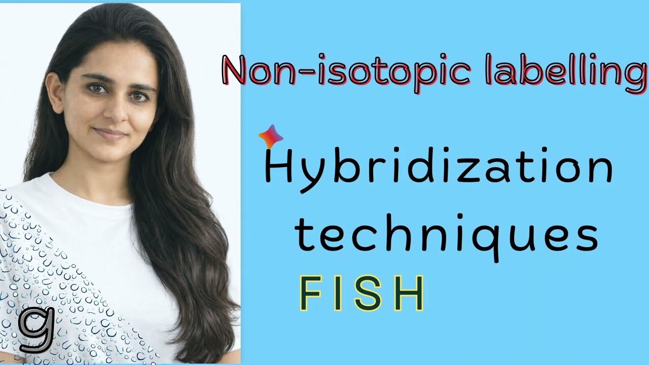 Part-IX: #FISH #Hybridization techniques  –  Non-Isotopic Labeling of Nucleic Acids