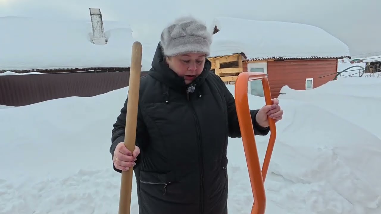 Умершие куры опять воскресли. Чистим снег на даче. Растишки наши живут в отдельной квартире.